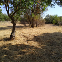 Земельный участок в Греции, Аттика