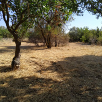 Земельный участок в Греции, Аттика