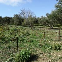 Other in Greece, Crete, Arakli, 90 sq.m.