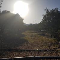 Land plot in Greece, Crete, Arakli