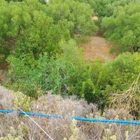 Land plot in Greece, Crete