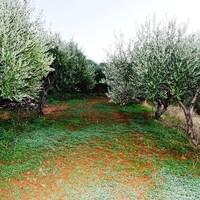 Земельный участок в Греции, Крит, Ираклион