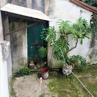 Другое в Греции, Ионические острова, 100 кв.м.