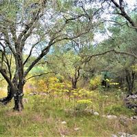 Земельный участок в Греции, Ионические острова