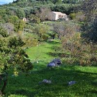 Land plot in Greece, Ionian Islands