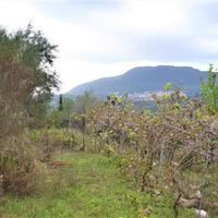 Land plot in Greece, Ionian Islands