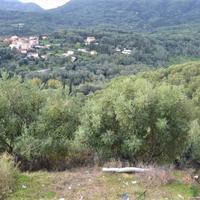 Other in Greece, Ionian Islands, 530 sq.m.