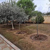 Other in Greece, Attica, Athens, 300 sq.m.