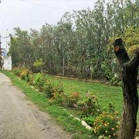 Земельный участок в Греции, Центральная Македония, Центр