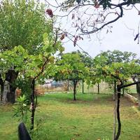 Земельный участок в Греции, Центральная Македония, Центр