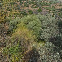 Land plot in Greece, Crete, Irakleion