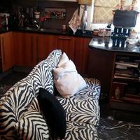 Flat in Greece, Attica, Athens, 215 sq.m.