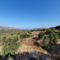 Land plot in Greece, Crete