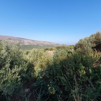Land plot in Greece, Crete