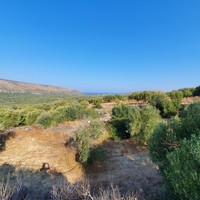 Land plot in Greece, Crete