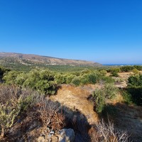 Land plot in Greece, Crete