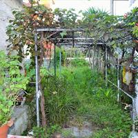 Other in Greece, Ionian Islands, 50 sq.m.