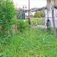 Other in Greece, Ionian Islands, 50 sq.m.