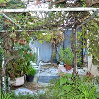 Other in Greece, Ionian Islands, 50 sq.m.