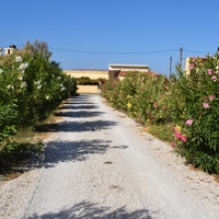 Land plot in Greece, Crete, Chania