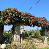 Таунхаус в Греции, Центральная Македония, Центр, 85 кв.м.