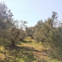 Other in Greece, Central Macedonia, Center, 260 sq.m.