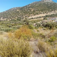 Земельный участок в Греции, Крит