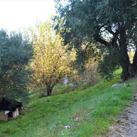 Other in Greece, Ionian Islands, 114 sq.m.