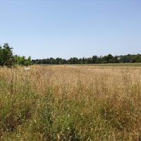 Land plot in Greece, Central Macedonia, Center