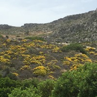 Land plot in Greece, Crete