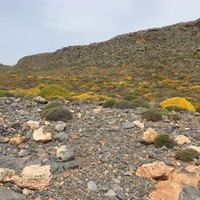 Land plot in Greece, Crete