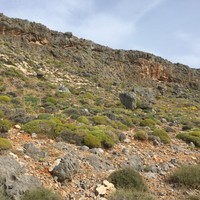 Land plot in Greece, Crete