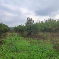 Land plot in Greece, Central Macedonia, Center