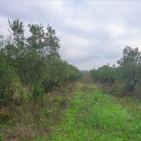 Land plot in Greece, Central Macedonia, Center