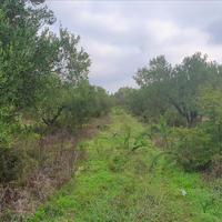 Land plot in Greece, Central Macedonia, Center