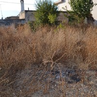 Other in Greece, Crete, Irakleion, 60 sq.m.