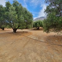 Land plot in Greece, Crete