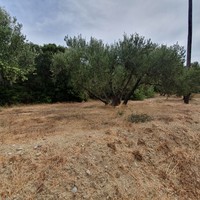 Land plot in Greece, Crete