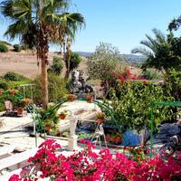 Villa in Republic of Cyprus, Lima, 220 sq.m.