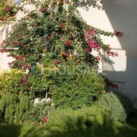 Flat in Republic of Cyprus, Lemesou, 180 sq.m.