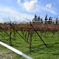 Land plot in Greece, Crete, Irakleion