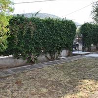 Other in Greece, Ionian Islands, 300 sq.m.