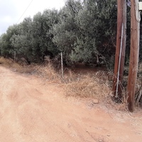 Land plot in Greece, Crete, Irakleion