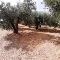 Land plot in Greece, Crete, Irakleion