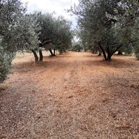 Land plot in Greece, Crete, Irakleion