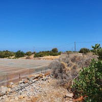 Land plot in Greece, Crete