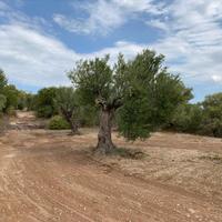 Land plot in Greece, Central Macedonia, Center