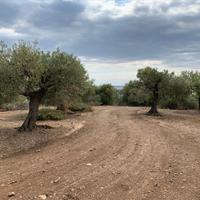 Land plot in Greece, Central Macedonia, Center