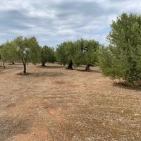 Land plot in Greece, Central Macedonia, Center