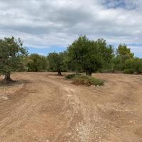 Land plot in Greece, Central Macedonia, Center